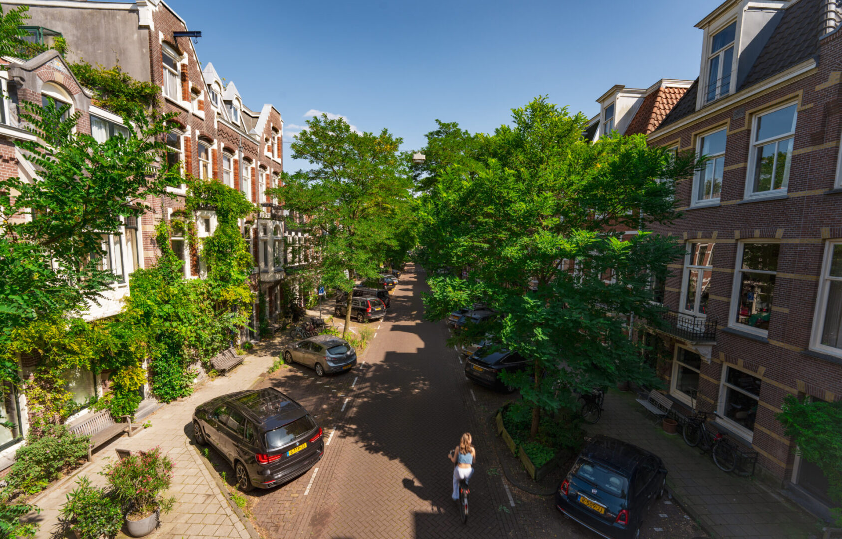 BVB Landscaping Amsterdam Van Breestraat stadsbomen