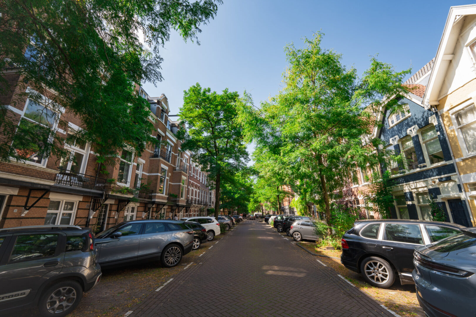 BVB Landscaping Amsterdam Van Breestraat stadsbomen