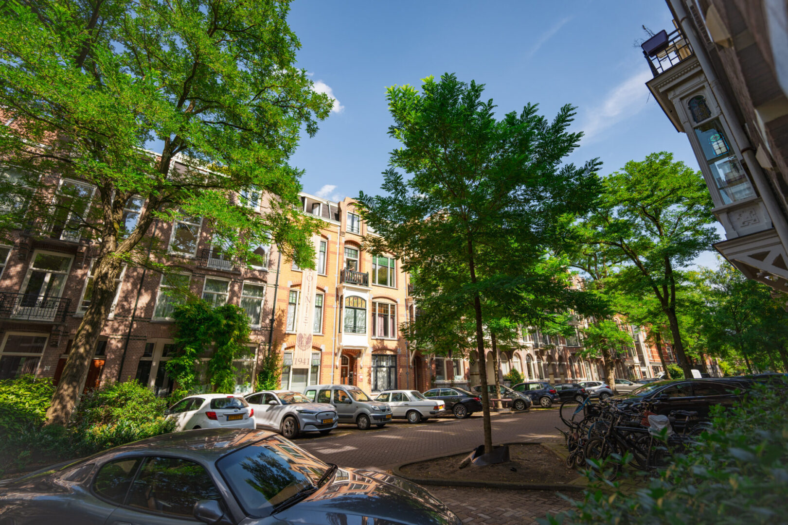 BVB Landscaping Amsterdam Van Breestraat stadsbomen