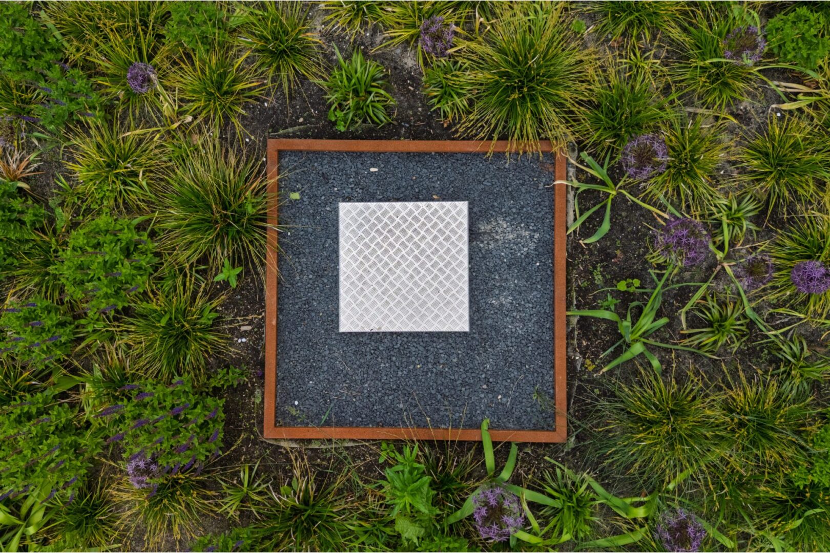 default BVB Landscaping retentiedak Purmerend Optigrün