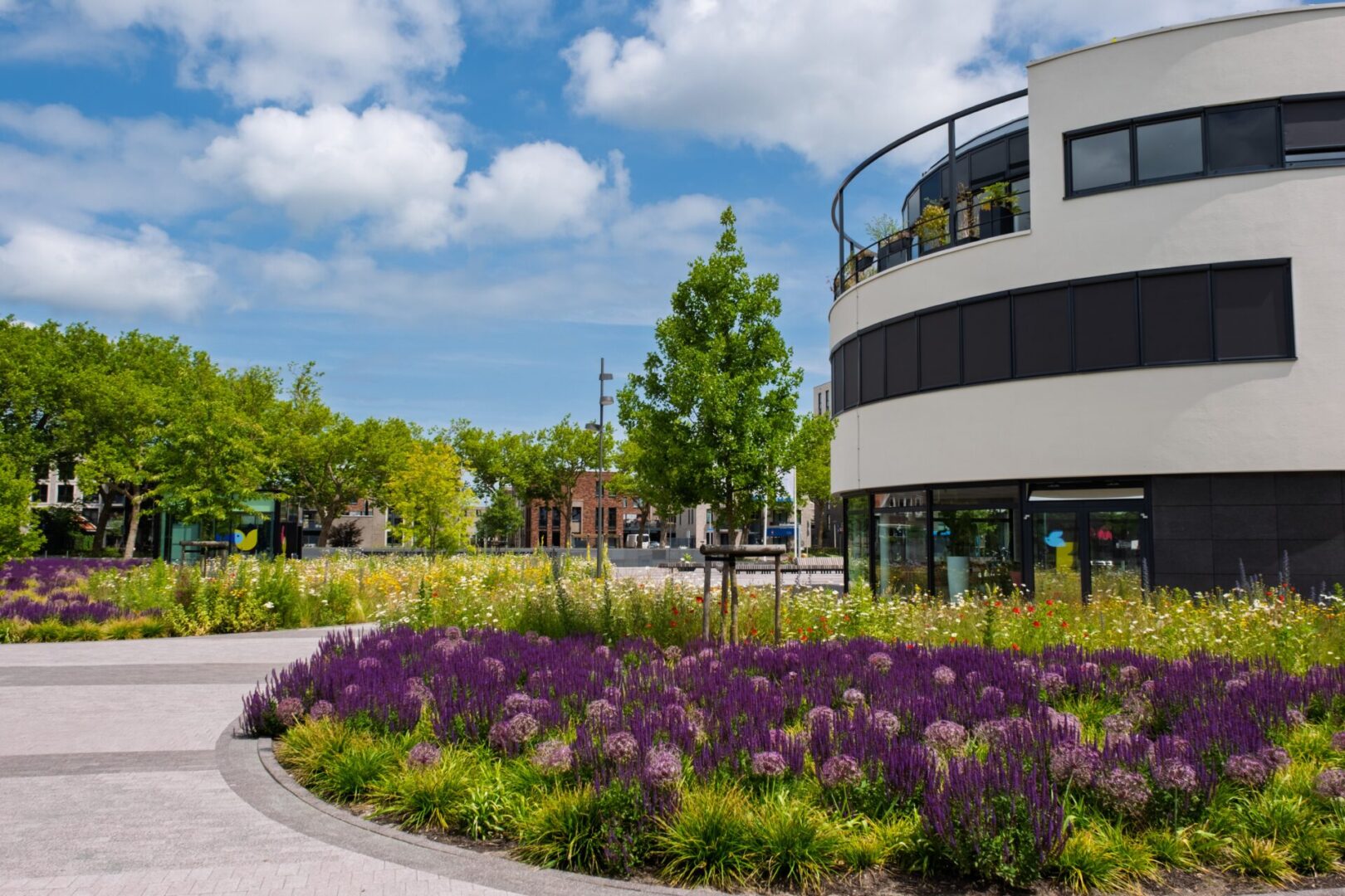 BVB Landscaping daktuin Stadhuisplein Purmerend Optigrün (11) BVB Landscaping retentiedak Purmerend Optigrün