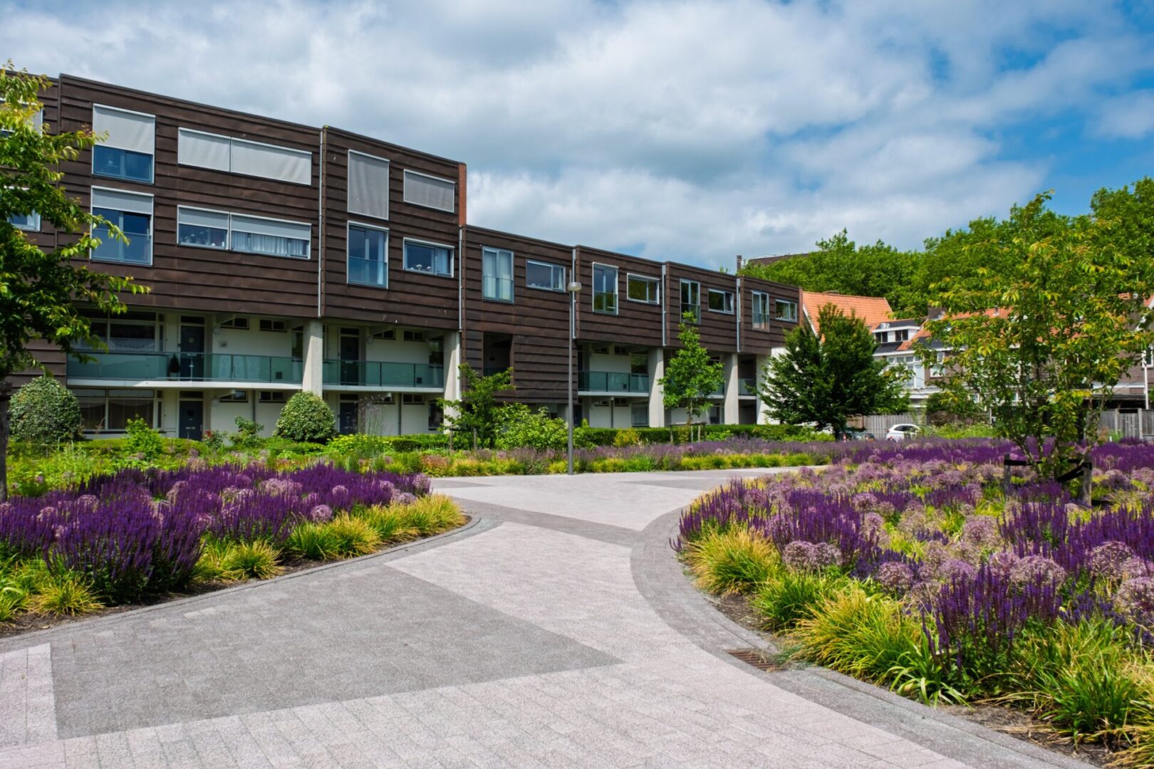 BVB Landscaping daktuin Stadhuisplein Purmerend Optigrün (13) BVB Landscaping retentiedak Purmerend Optigrün