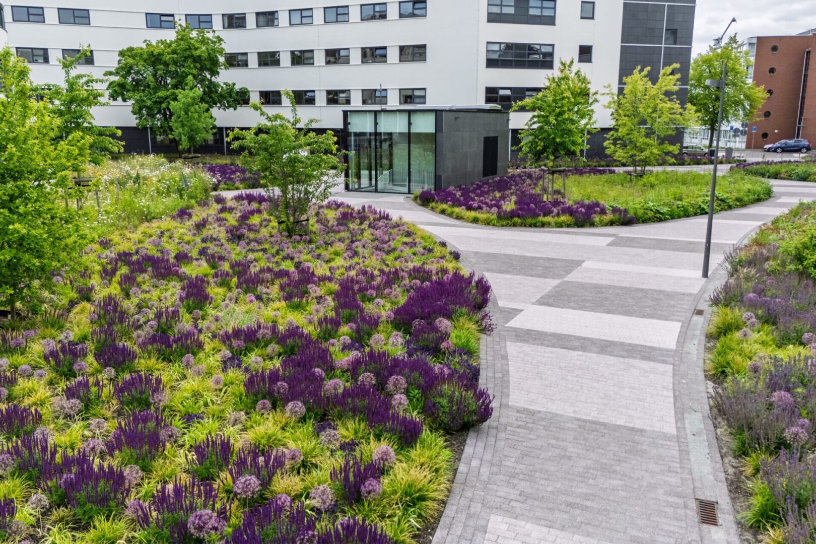 default BVB Landscaping retentiedak Purmerend Optigrün