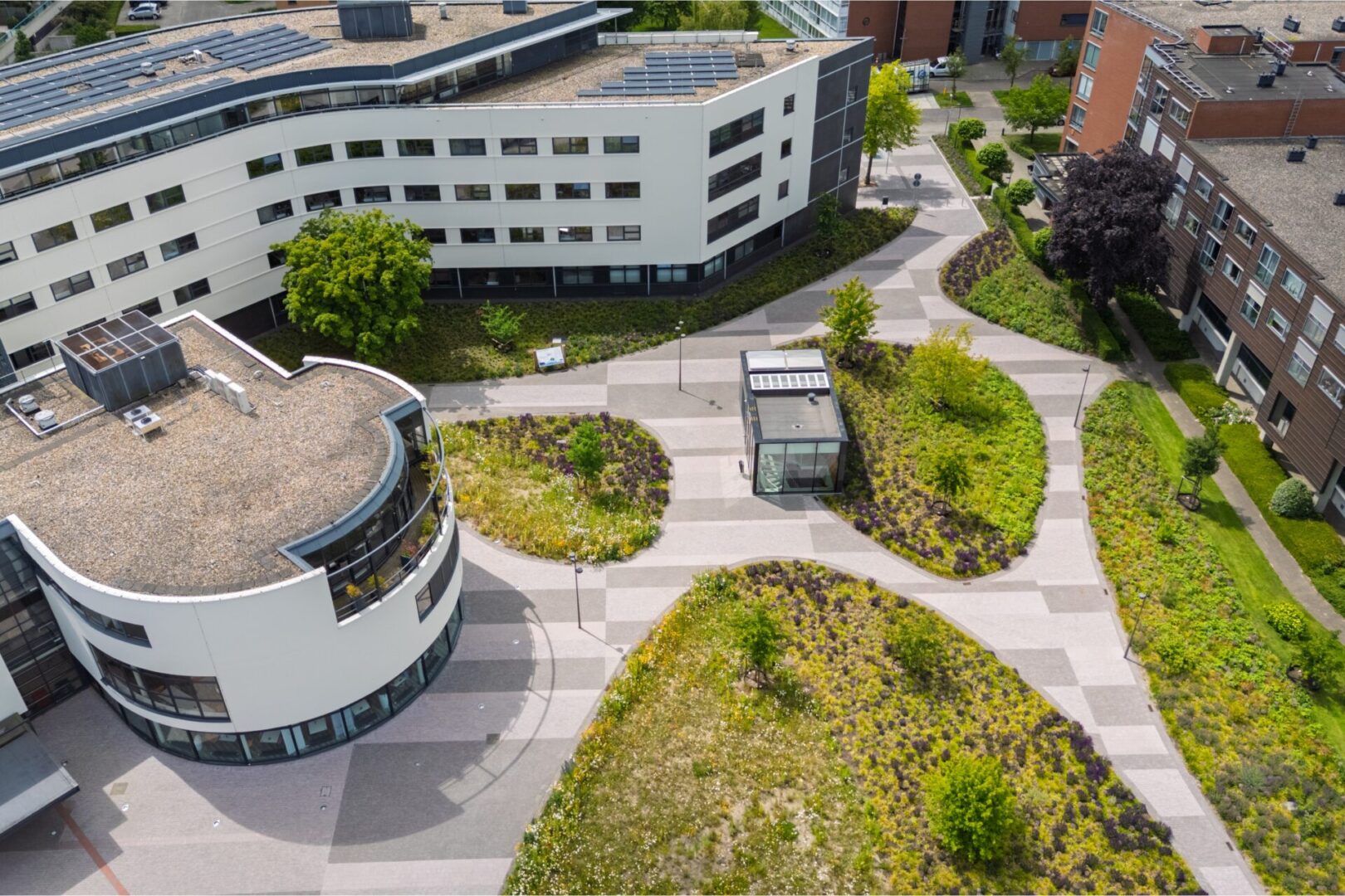 default BVB Landscaping retentiedak Purmerend Optigrün