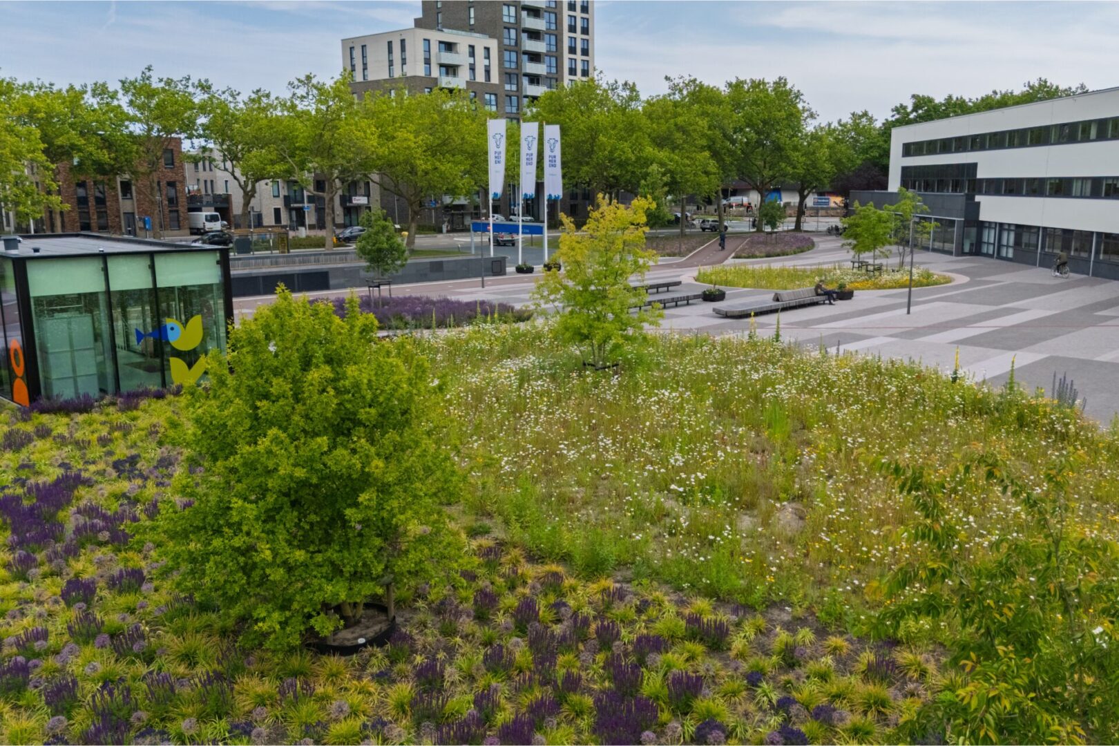 default BVB Landscaping retentiedak Purmerend Optigrün