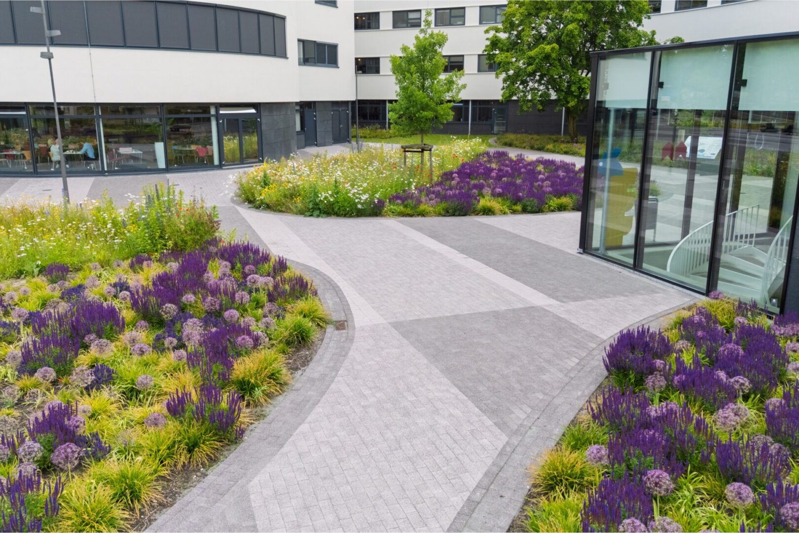 default BVB Landscaping retentiedak Purmerend Optigrün