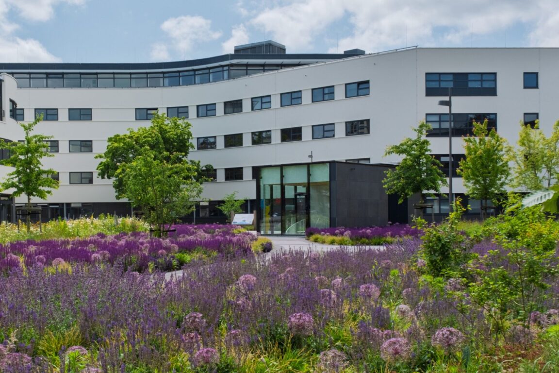 BVB Landscaping daktuin retentiedak digibord Optigrün BVB Landscaping daktuin retentiedak digibord Optigrün