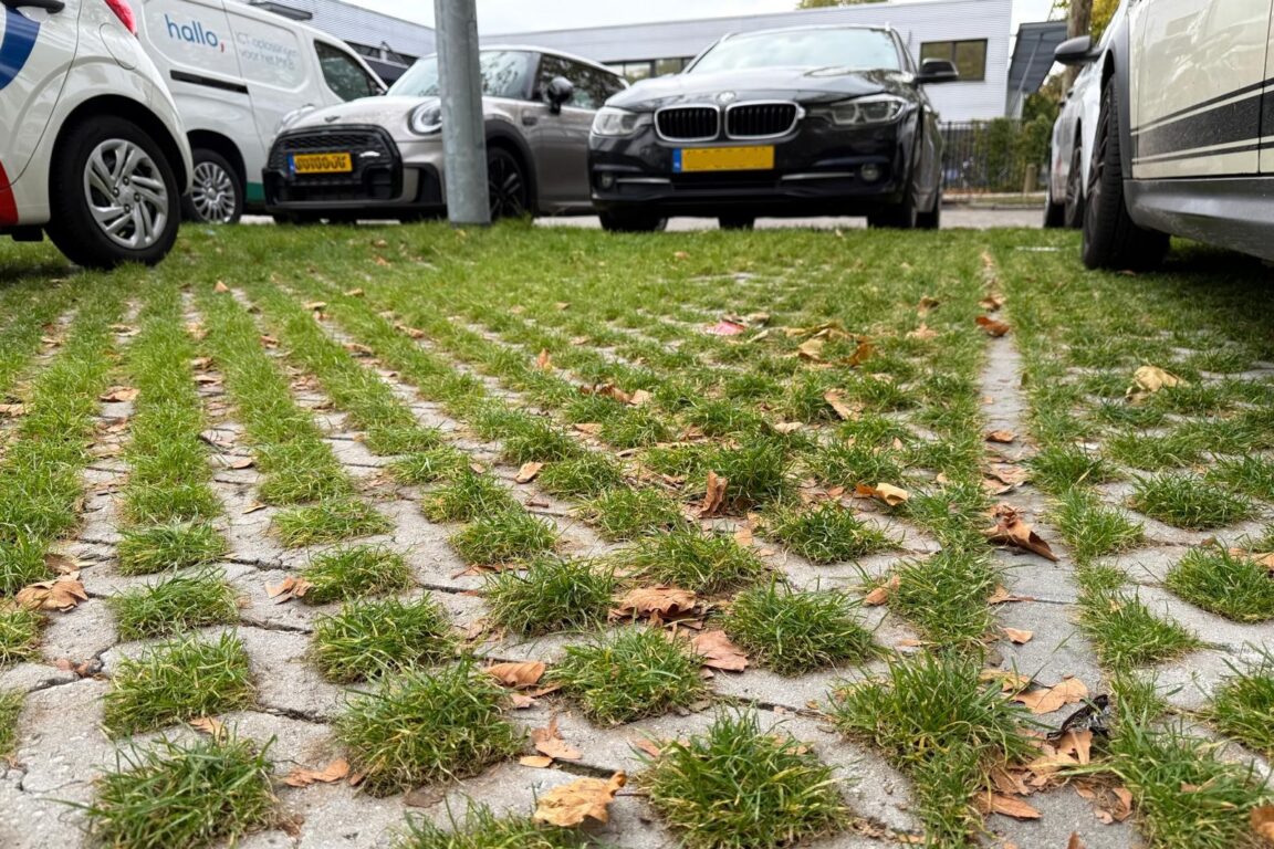 BVB Landscaping grastegelsubstraat grastegelfundatie parkeerplaats Anderlechtstraat Eindhoven