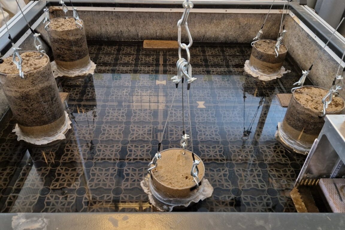 BVB Landscaping proef retentiesubstraat Optigrün