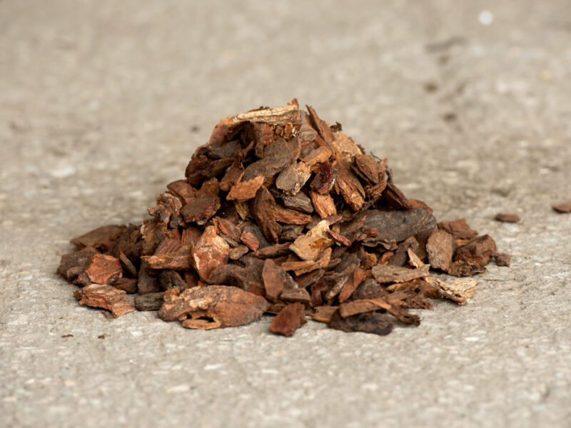 BVB Schors Pinus Maritima Premium 15-25