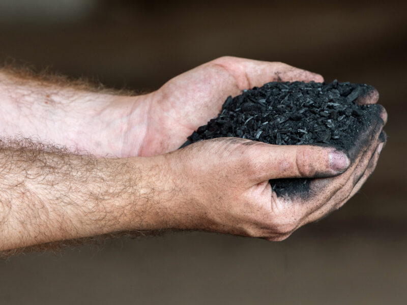 BVB Landscaping Citykross UrbanActive