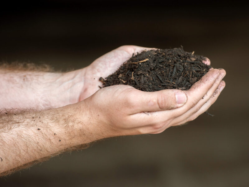 BVB Landscaping UrbanMulch mulch