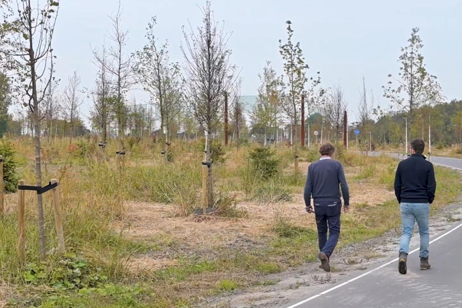BVB Landscaping Bodemverrijking Verrijkingsmix A16 tunneldak