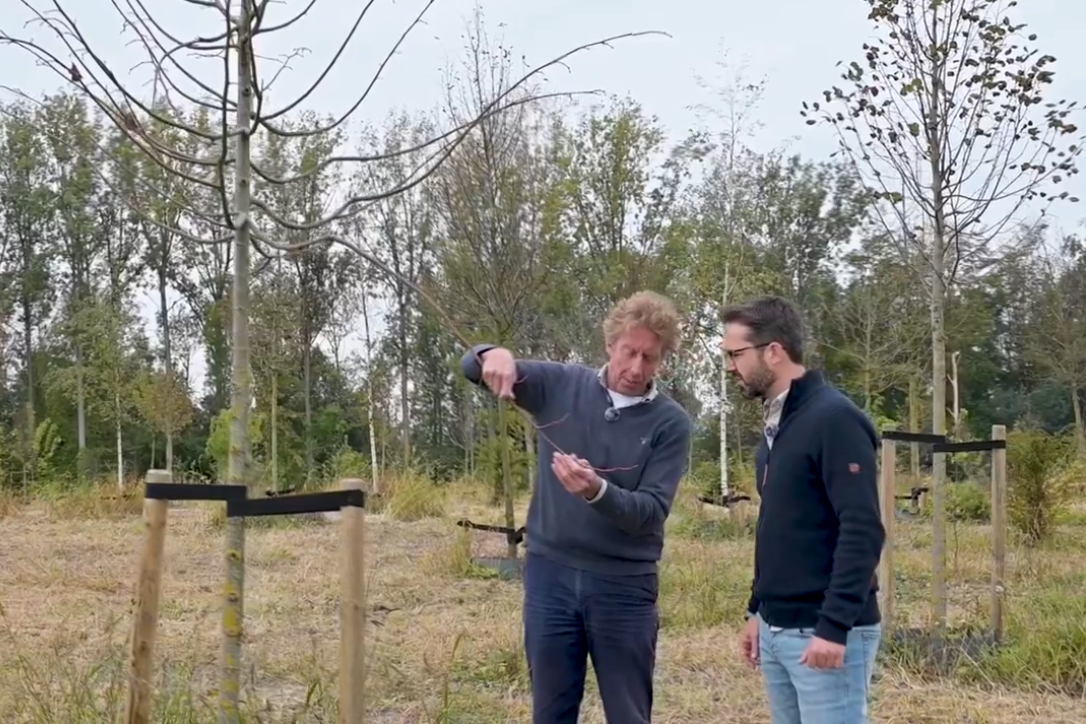 BVB Landscaping Huib Sneep Groene Boog A16 tunneldak bodemverrijking