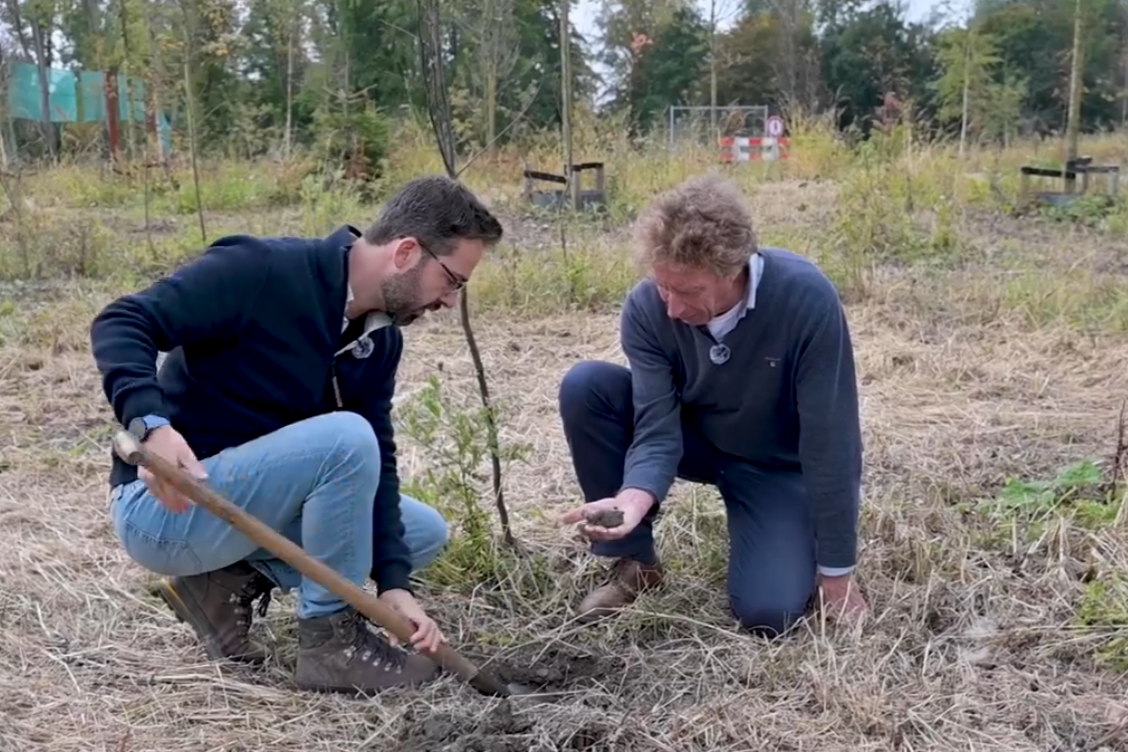Groenbemester en vocht A16 BVB Landscaping